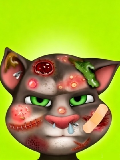 Funny Cat Fix Up